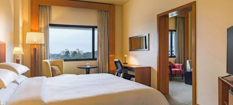 亚松森喜来登酒店(Sheraton Asuncion Hotel)图片