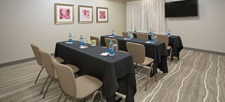 Staybridge套房酒店-拉皮德城拉什莫尔(Staybridge Suites Rapid City - Rushmore)图片