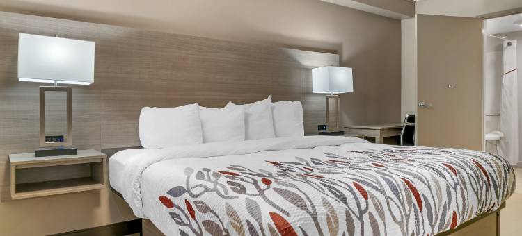 底特律-奥本山/罗切斯特山红顶酒店(Red Roof Inn Detroit-Rochester Hills/ Auburn Hills)图片