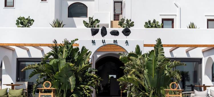 Numa 圣托里尼(Numa Santorini)图片