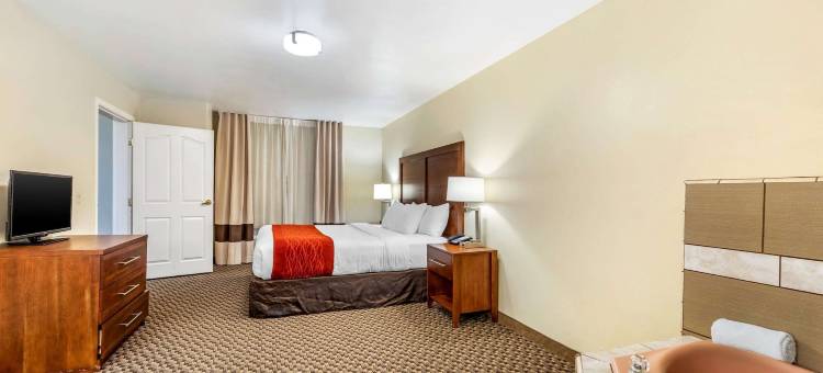 兰开斯特羚羊谷舒适套房酒店(Comfort Inn & Suites Lancaster Antelope Valley)图片