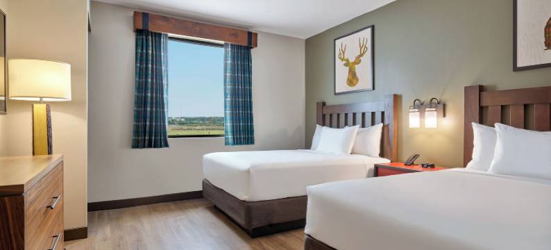 大狼屋度假村韦伯斯特(Great Wolf Lodge Webster)图片