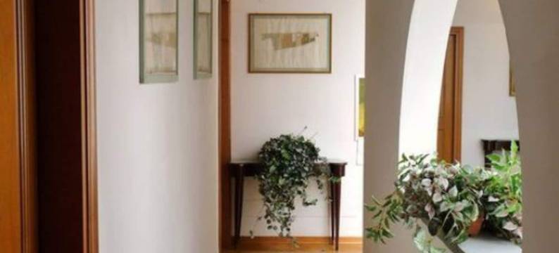 克拉西克酒店(Classic Hotel)图片