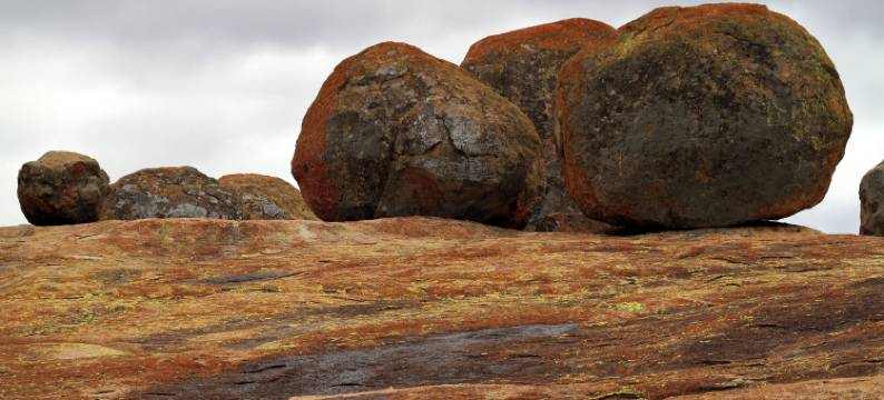 Gwango Tamarillo 庄园(Gwango Tamarillo Estate)图片
