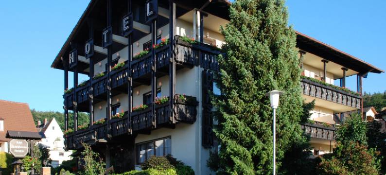 施罗曼酒店(Hotel Schloessmann Garni)图片