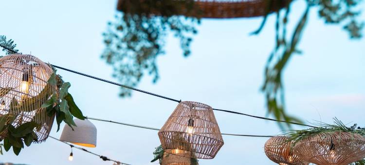 乔利罗杰酒店(Hotel Jolly Roger)图片