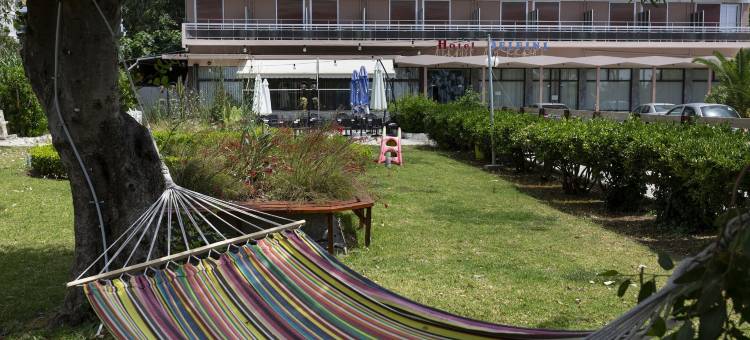 佩特雷斯德尔菲尼酒店(Delfini Hotel)图片