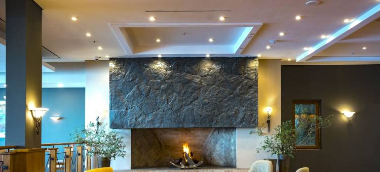 公园湖豪华酒店(Park Lake Luxury Hotel)图片