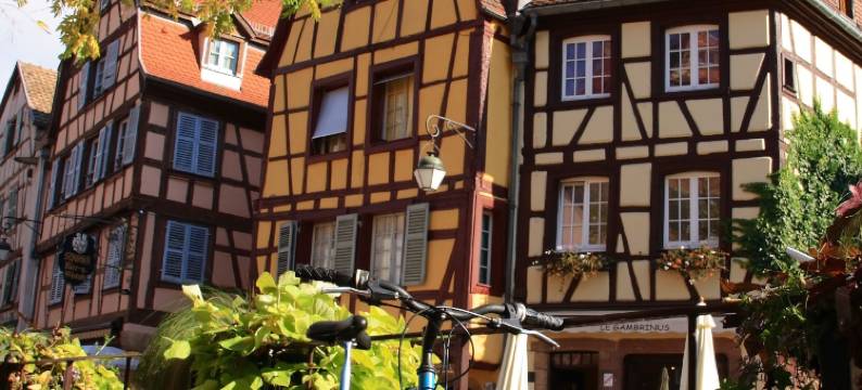 保罗与皮亚温馨之家酒店(隶属Stay Collection)(Paul & Pia by Stay Collection - Welcome Home Hotel)图片