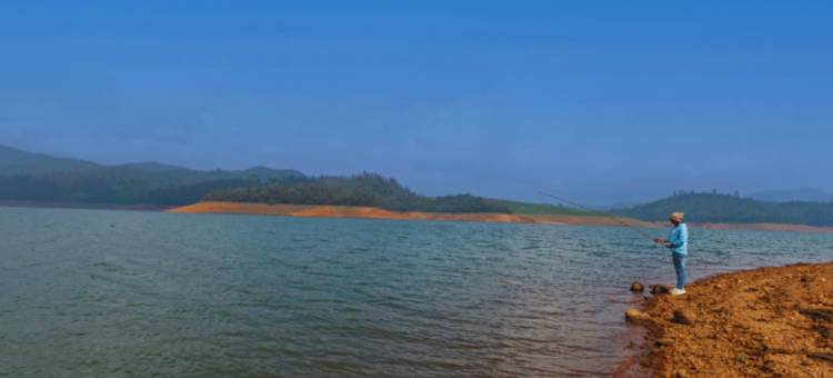 Emerald by Nature Resorts and Stays, Avalanchi图片