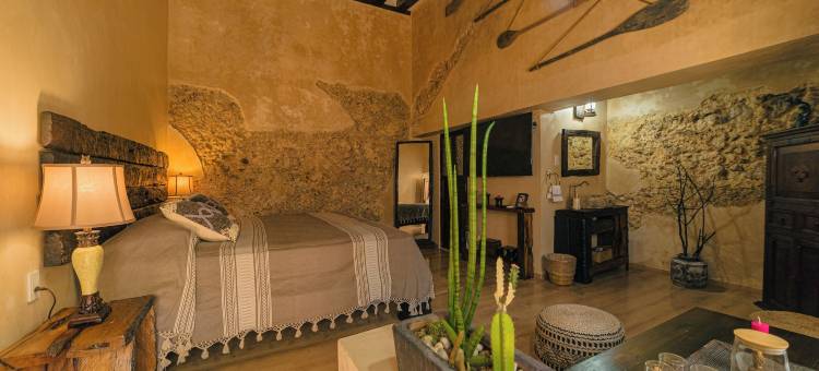 兰兹之家XVII精品酒店(Hotel Boutique Casa Lanz XVII)图片