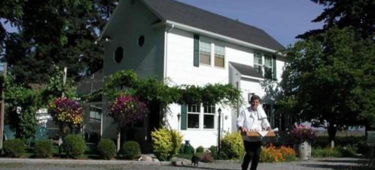 舒适玫瑰旅馆(Cozy Rose Inn)图片