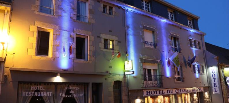 切瓦尔布兰克旅馆(Auberge du Cheval Blanc - Logis Hotel)图片