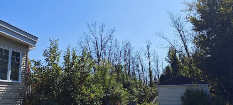 圣奥布杰克蒂弗酒店(Objectif Santé)图片