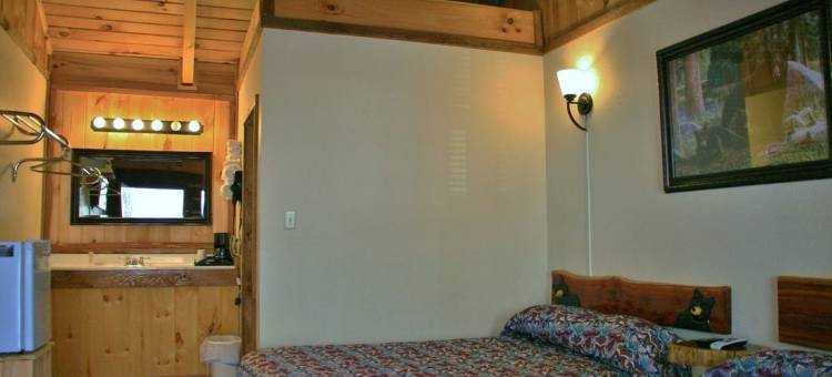 黑熊汽车旅馆(Black Bear Lodge Motel)图片
