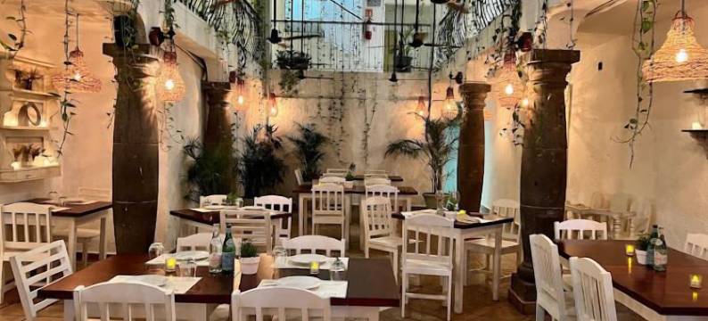 波萨达马里博精萨精品酒店(Posada Mariposa Boutique Hotel - 5th Avenue)图片