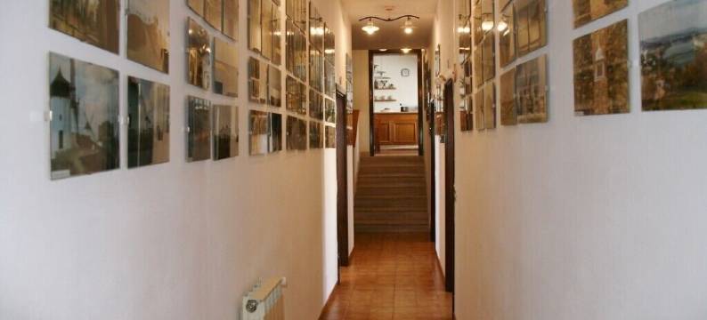 装修的刺猬(Meublé il Riccio)图片