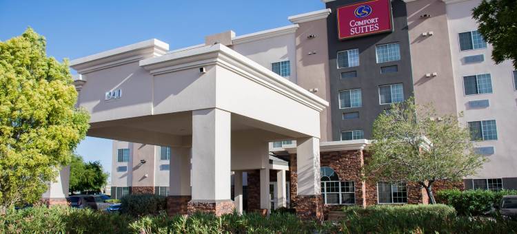 舒适套房酒店-埃尔帕索机场(Comfort Suites El Paso Airport)图片