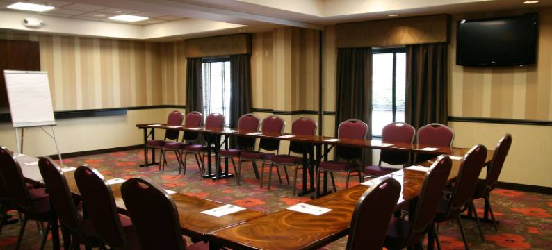 希尔顿欢朋套房酒店-底特律机场罗穆勒斯(Hampton Inn & Suites Detroit/Airport-Romulus)图片