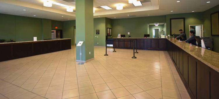 拉斯维加斯伯克利公寓式酒店(The Berkley, Las Vegas)图片