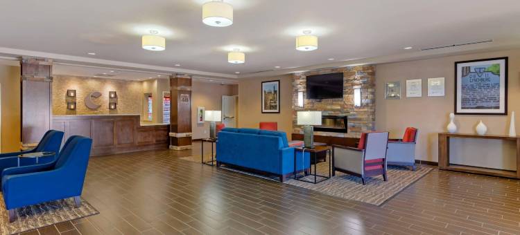 林奇堡机场-大学区舒适套房酒店(Comfort Inn & Suites Lynchburg Airport - University Area)图片