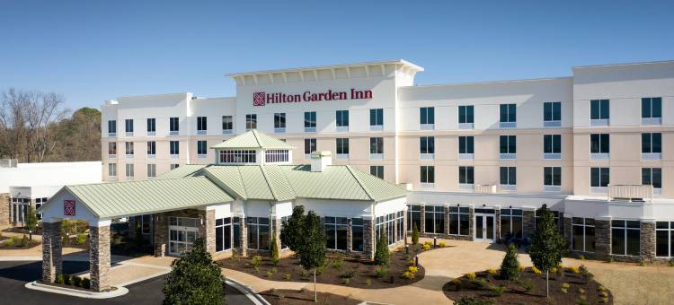 密西西比奥利夫布兰奇希尔顿花园酒店(Hilton Garden Inn Olive Branch)图片