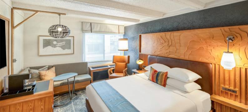 凯悦尚选The Wildbirch酒店(The Wildbirch Hotel - JdV by Hyatt)图片