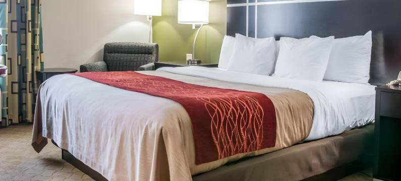 舒适套房酒店 - 托莱多 (I80-90)(Comfort Inn & Suites Maumee - Toledo I80-90)图片