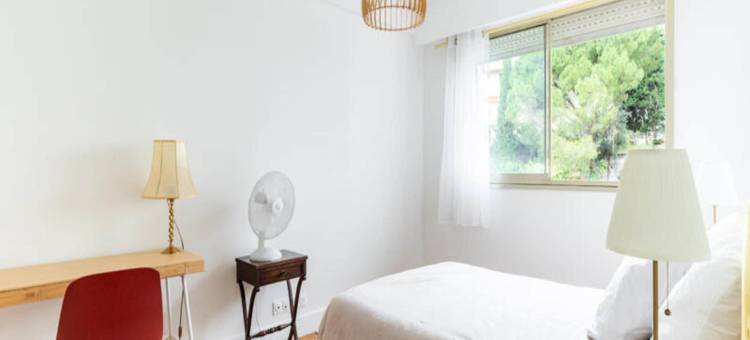 Apartments in Nice图片