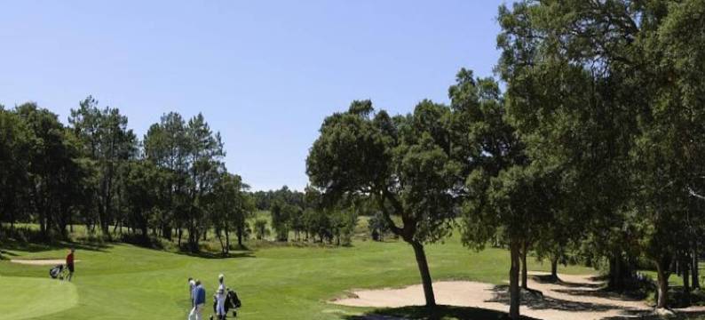 Studio 5 people - Budget图片