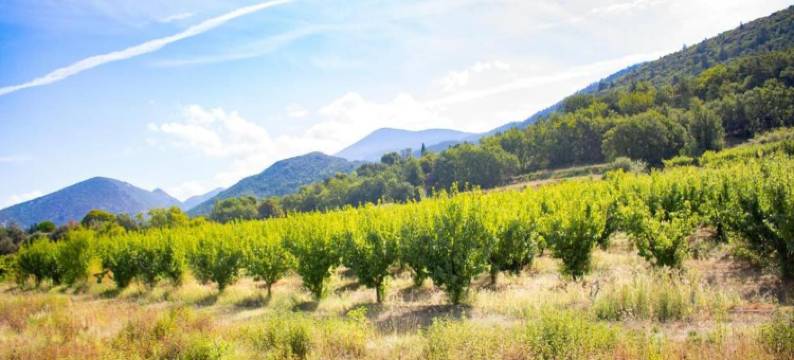 Villa in Malaucène near Mount Ventoux图片