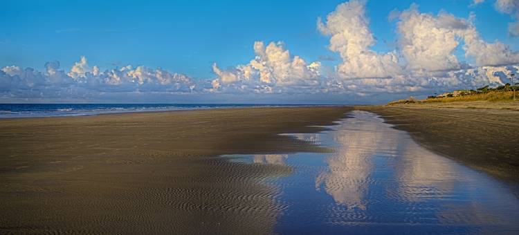 迪士尼希尔顿黑德度假村(Disney's Hilton Head Island Resort)图片