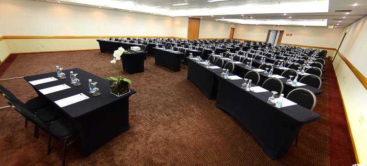 安海比公园假日酒店(Holiday Inn Parque Anhembi)图片