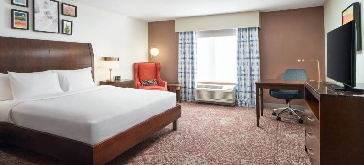 埃尔帕索机场希尔顿花园酒店(Hilton Garden Inn El Paso Airport)图片