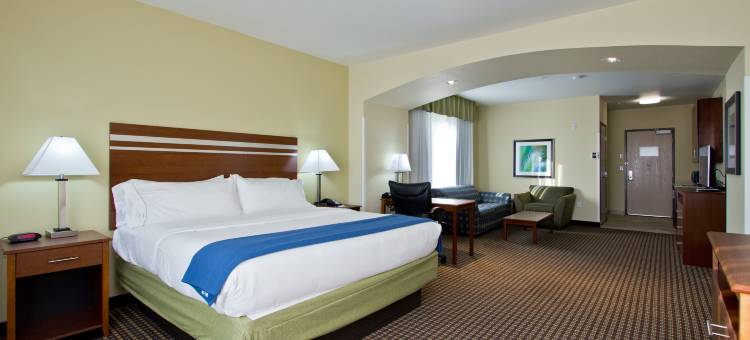 智选假日套房酒店丹佛芮(Holiday Inn Express & Suites Denver East-Peoria Street)图片