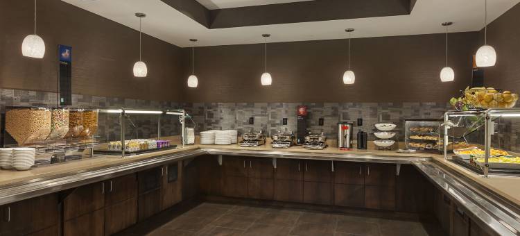 圣路易斯市中心希尔顿安泊酒店(Embassy Suites by Hilton St. Louis Downtown)图片