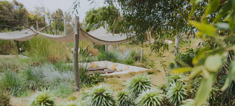 索菲特阿加迪尔海洋温泉酒店(Sofitel Agadir Thalassa Sea & Spa)图片