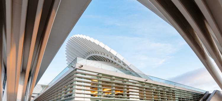 水晶宫欧洲之星酒店(Eurostars Palacio de Cristal)图片