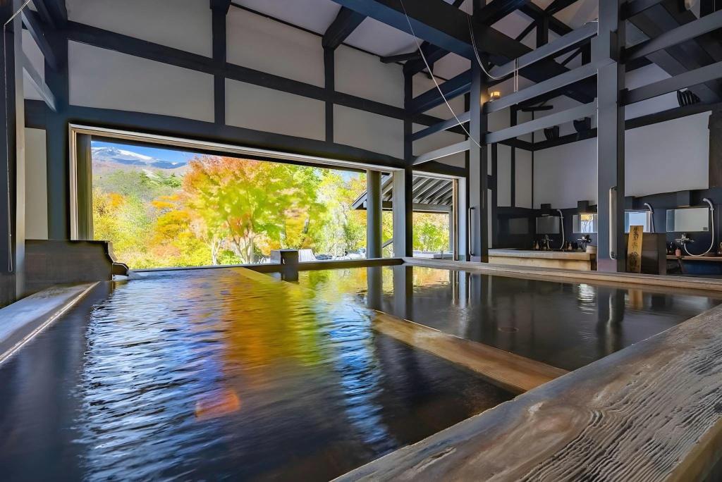 Hotel Sierra Resort HakubaOver view