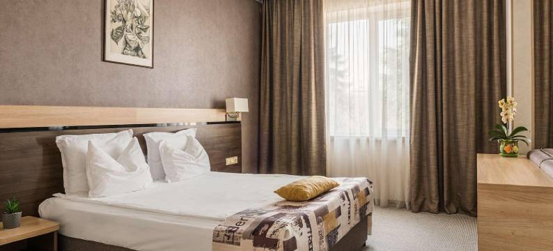 多瑙河大酒店(Dunav Plaza Hotel)图片