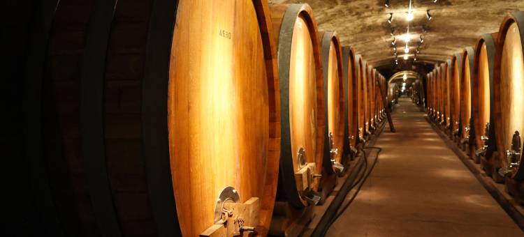 施特劳斯城市伙伴酒店(City Partner Hotel Strauss)图片