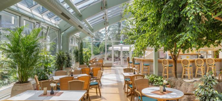 IFA舍内克洛普森酒店&度假村(IFA Schöneck Hotel & Ferienpark)图片