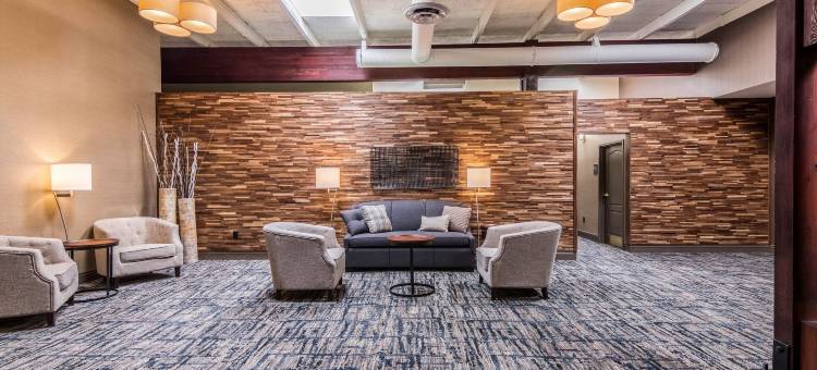 普利茅斯-明尼阿波利斯舒适酒店(Comfort Inn Plymouth-Minneapolis)图片