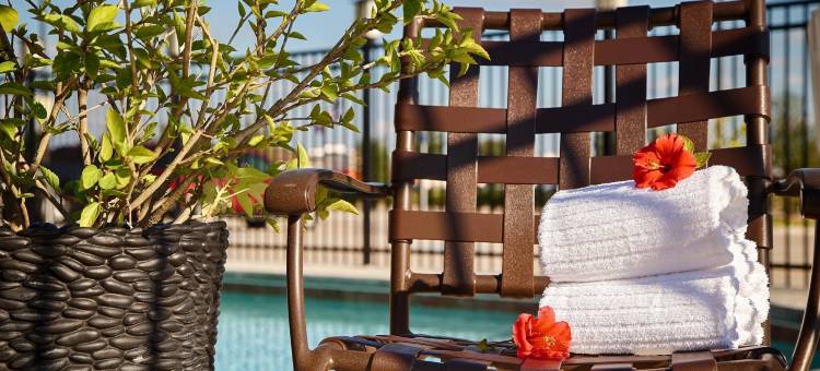 克利奇站贝斯特韦斯特优质套房酒店(Best Western Plus College Station Inn  Suites)图片