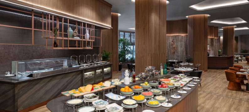 伊斯坦布尔萨科里瓦蒂瑞享生活酒店(Mövenpick Living Istanbul Saklivadi)图片
