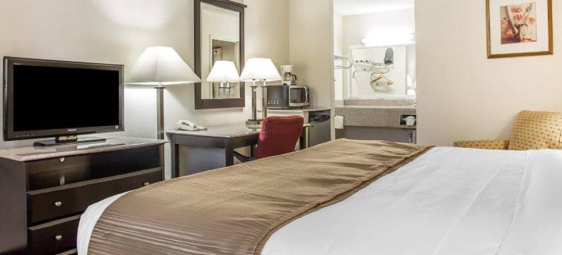 竞技场品质套房假日酒店(Quality Inn & Suites Coliseum)图片