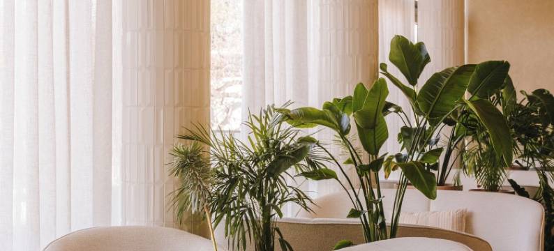 卡利酒店(Hotel Kali)图片