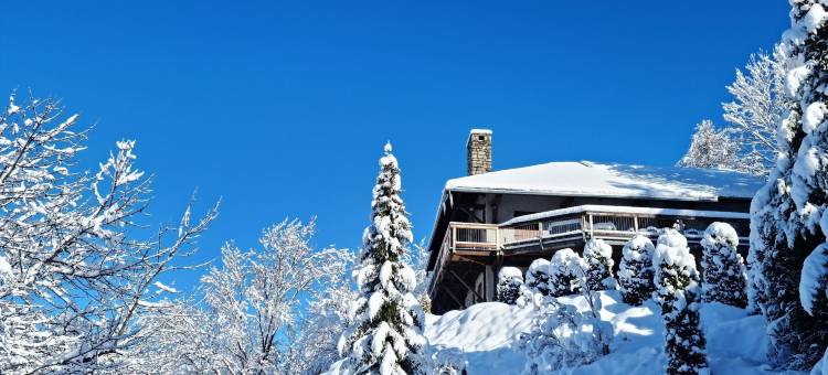Holiday Home with sauna, Saint-Sauveur图片