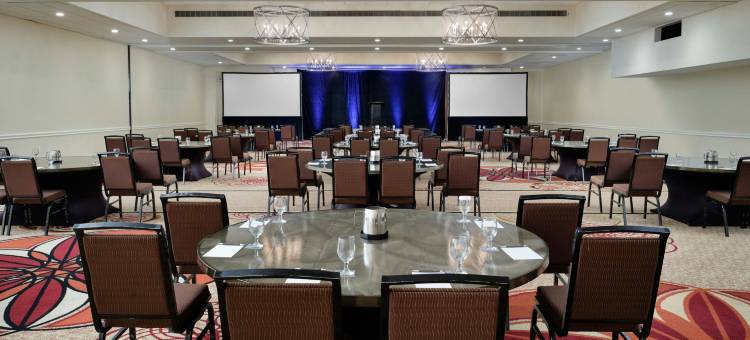喜来登坦帕布兰登酒店(Sheraton Tampa Brandon Hotel)图片