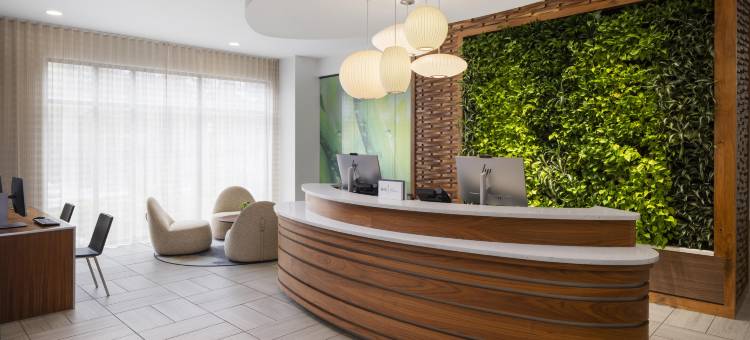 阿尔法利塔-阿瓦隆地区逸衡酒店(EVEN Hotel ALPHARETTA - AVALON AREA by IHG)图片